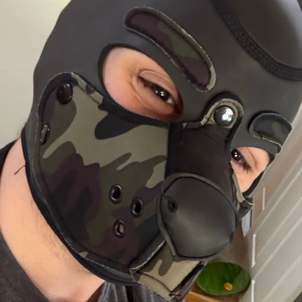 Pup Fighto