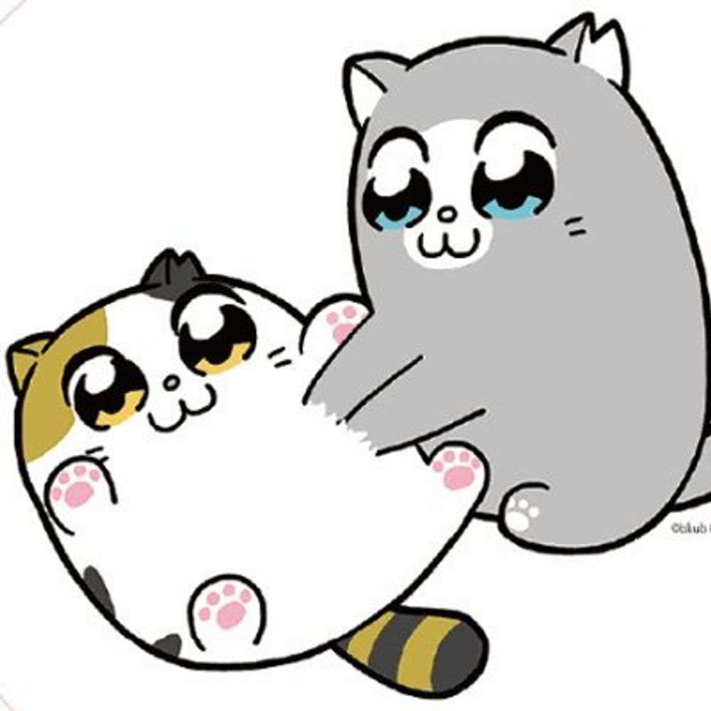 자김씨