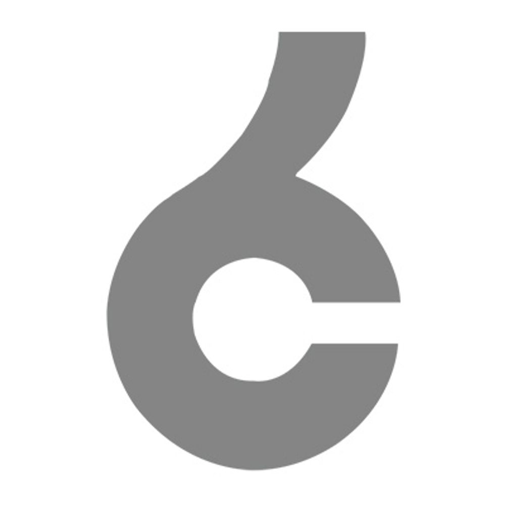 INSCRIPT