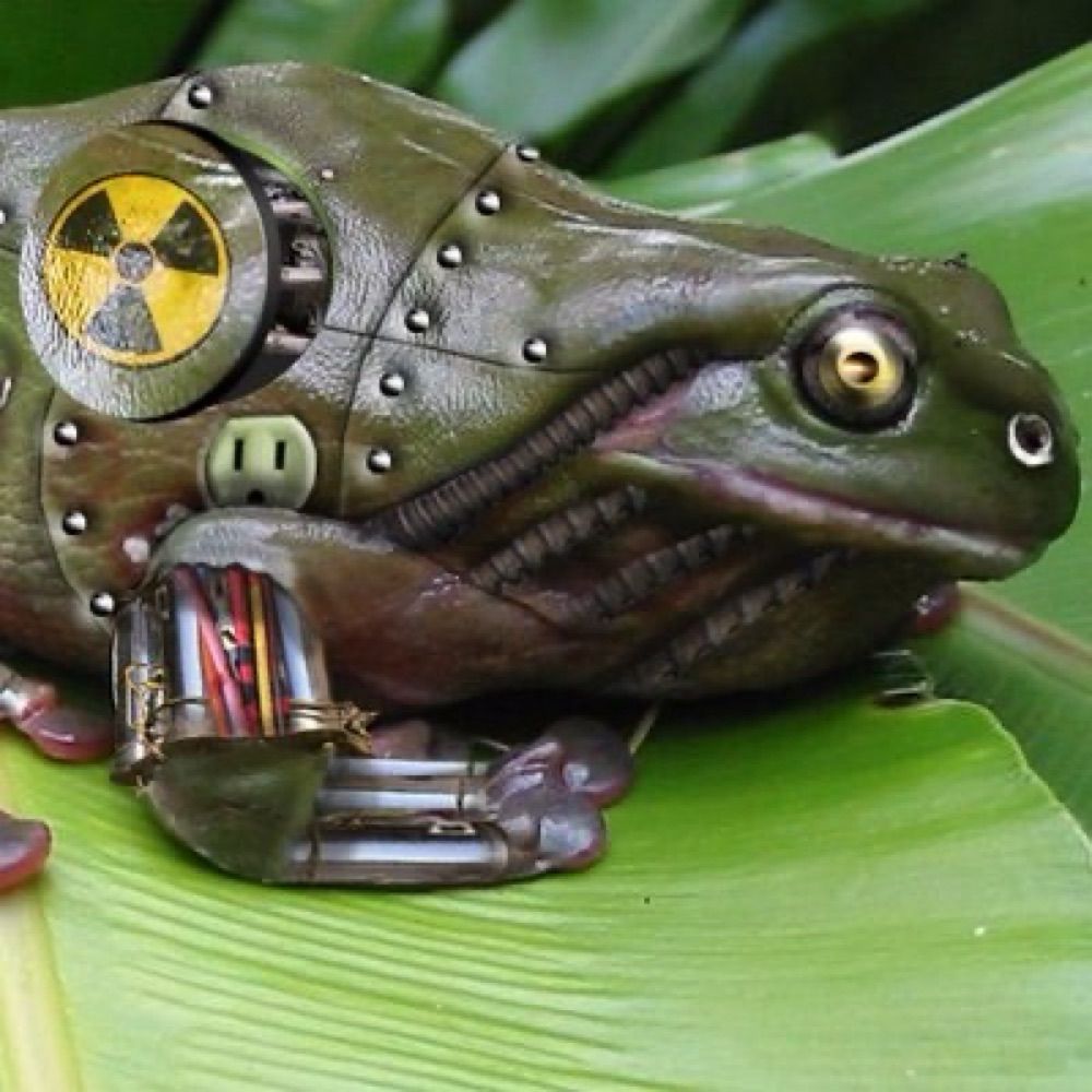 ATOMICFROG