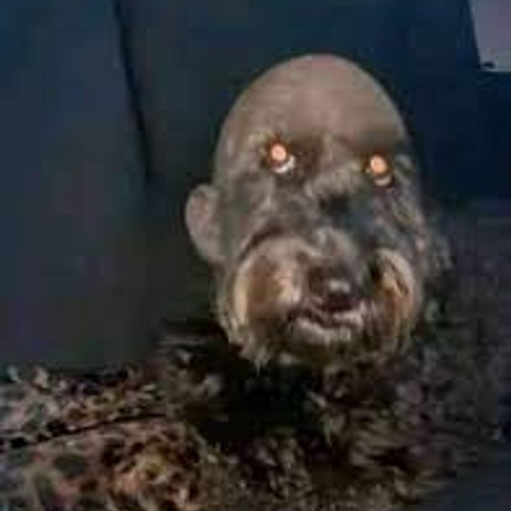 ditao