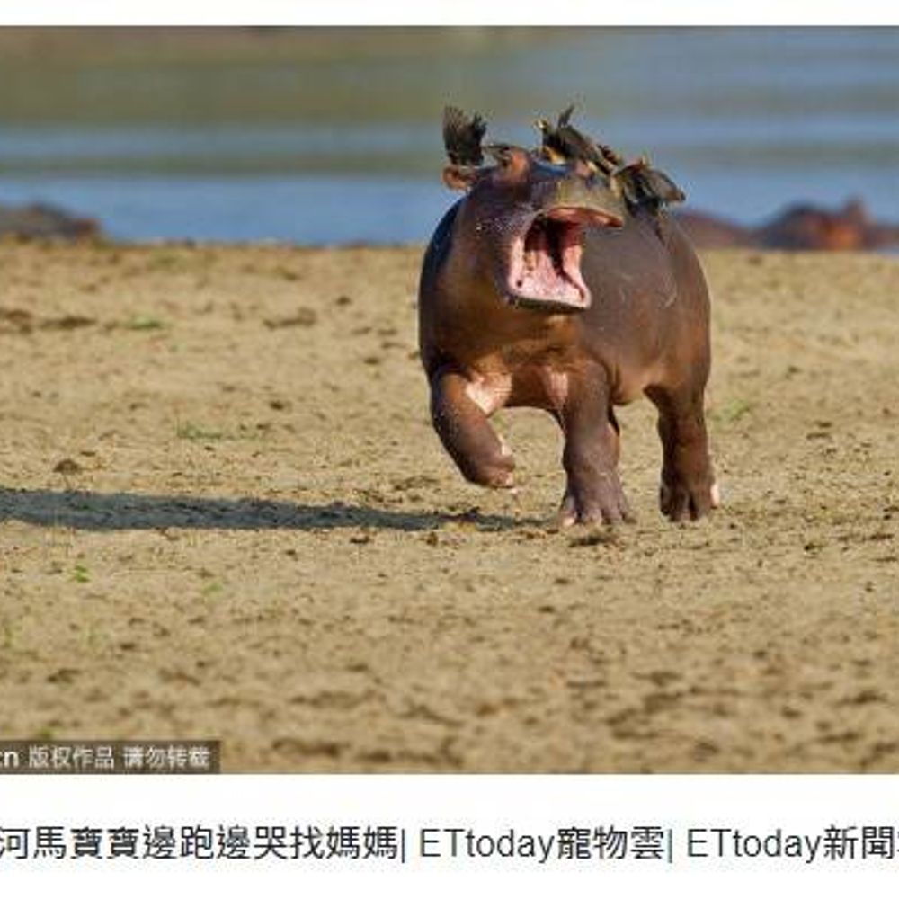 卡襪
