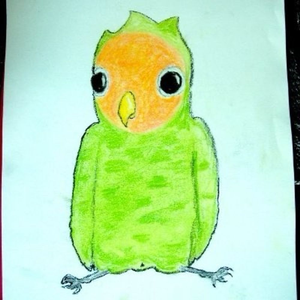 anarchist lovebird