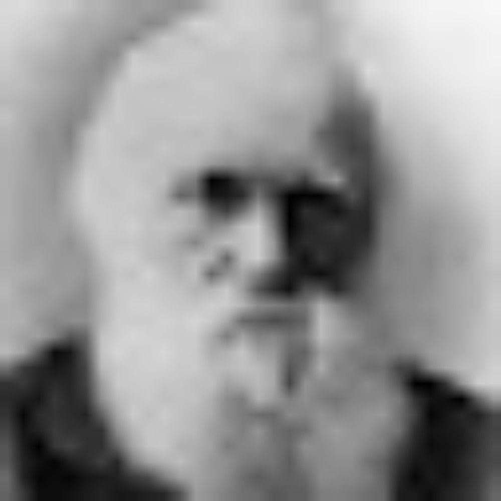 John Blackman