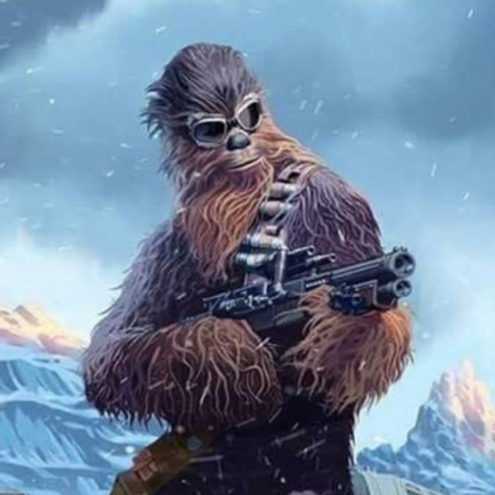 RobtheWookie