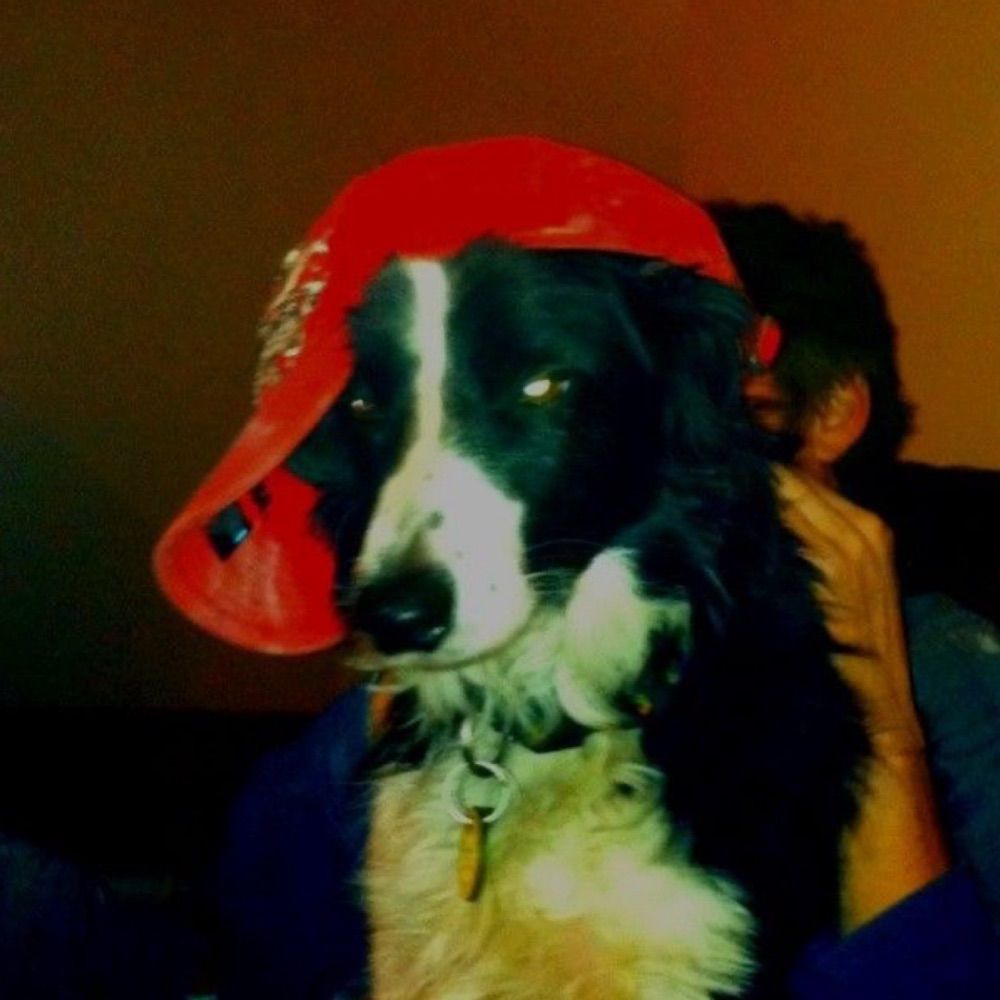 Chompe