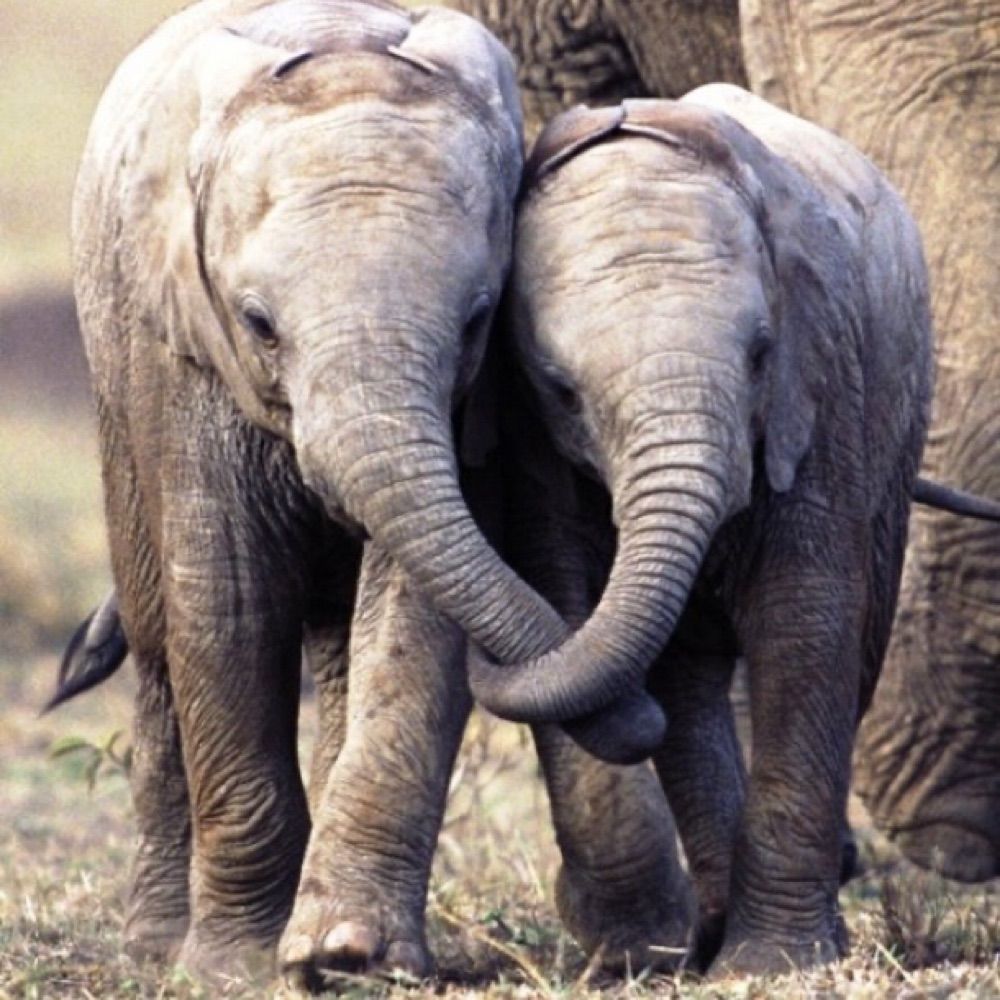 PHP Hugs