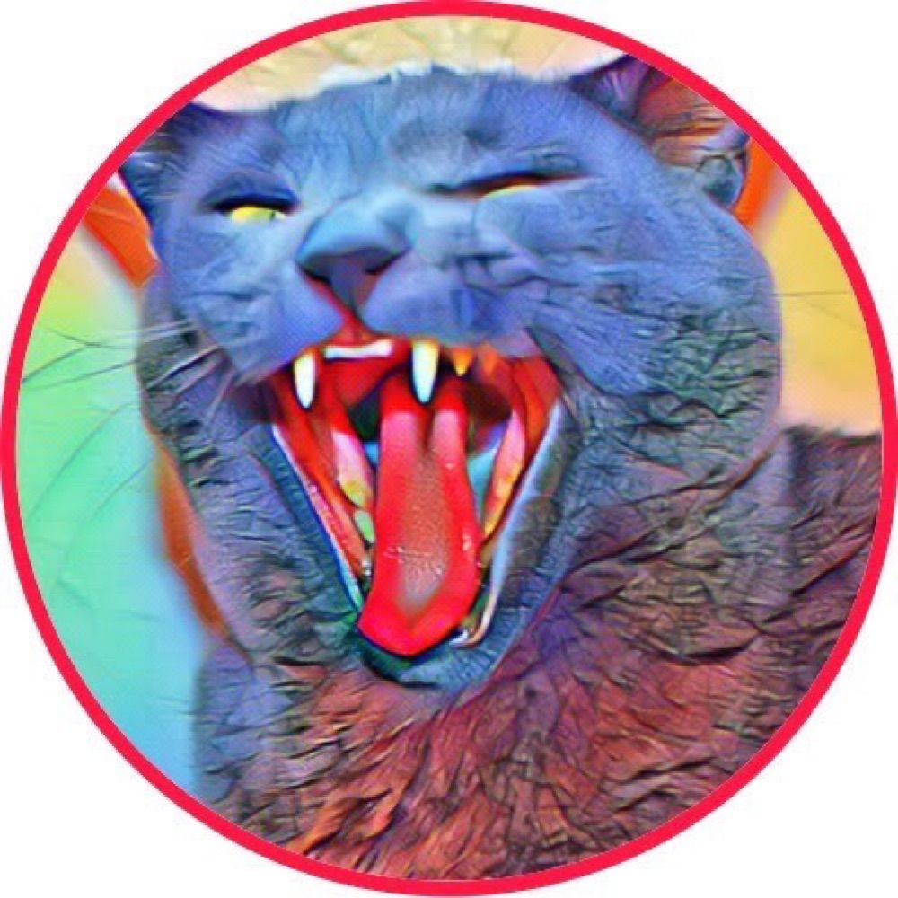Laughing Cat Fibers