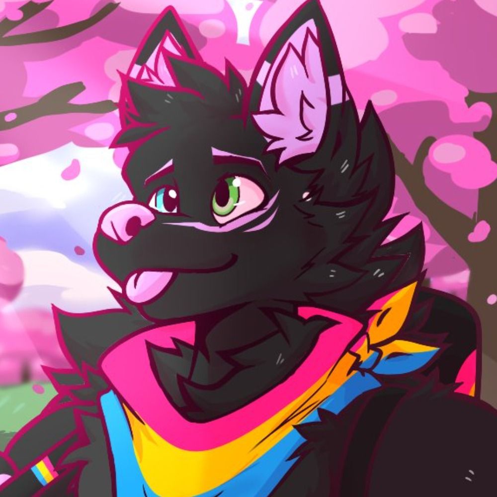 Rex/Rai pupbun