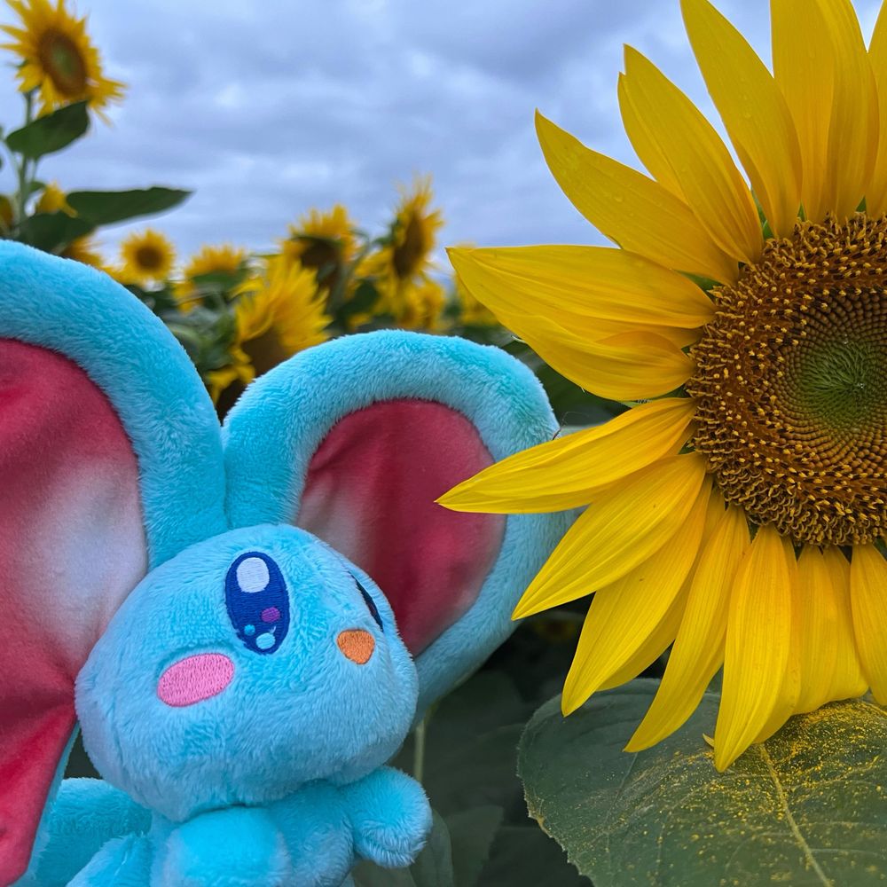 春風（青空のすがた）