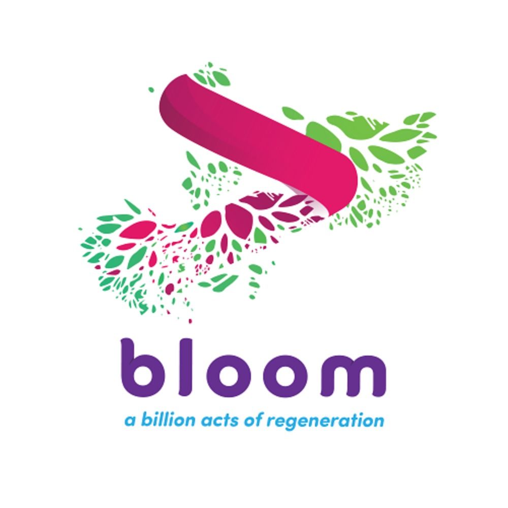 Bloom Network