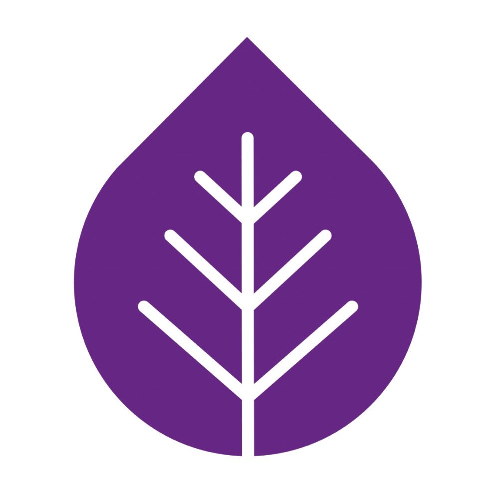 Survivors’ Network
