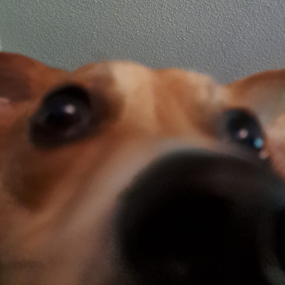 spikebones.bsky.social profile picture