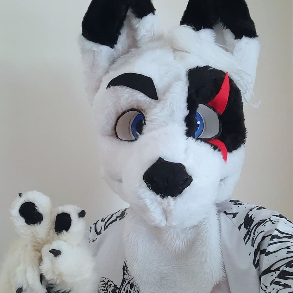 DobyWolf