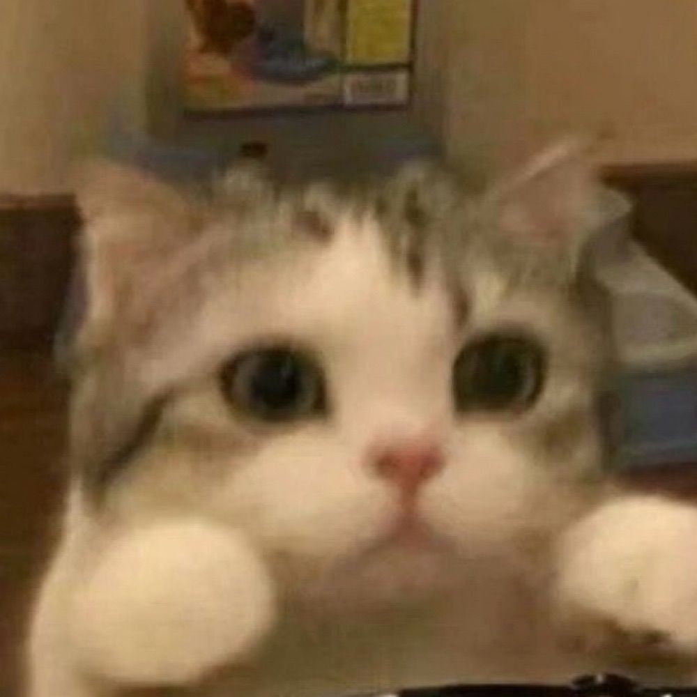 Lynnnya