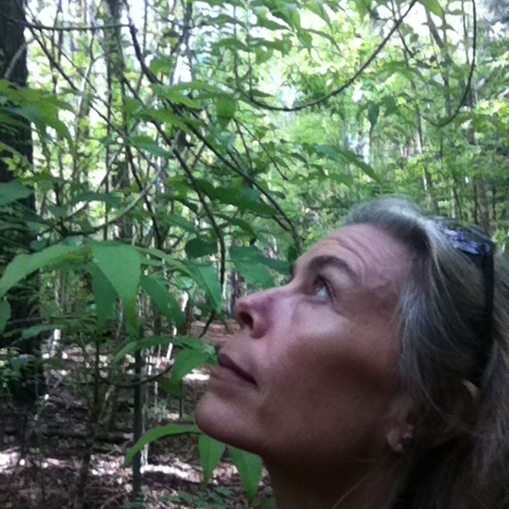 Wendy K Tucker