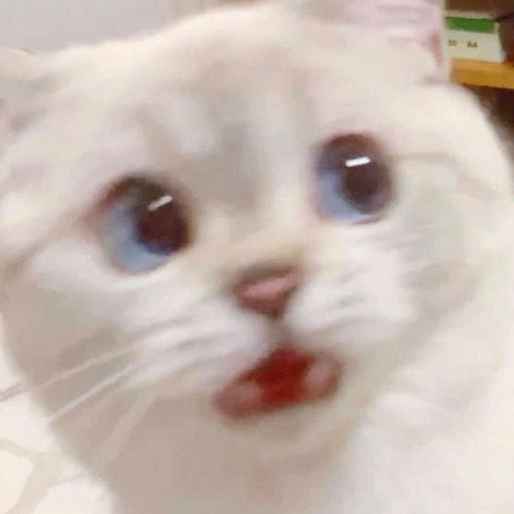 翔
