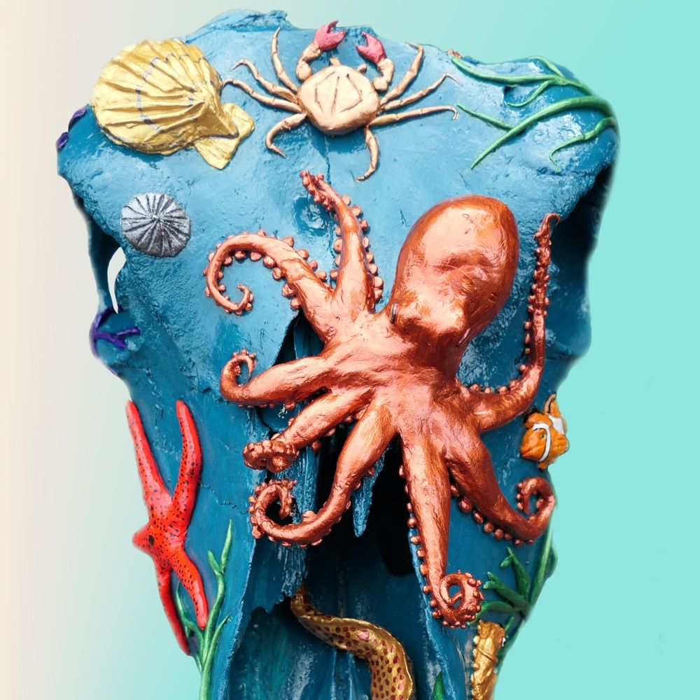 Animalskullart