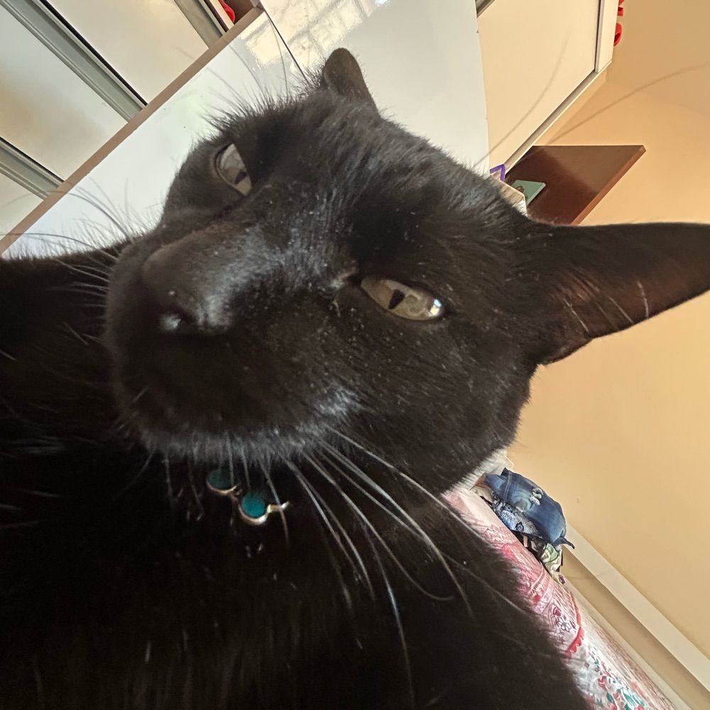 rafa