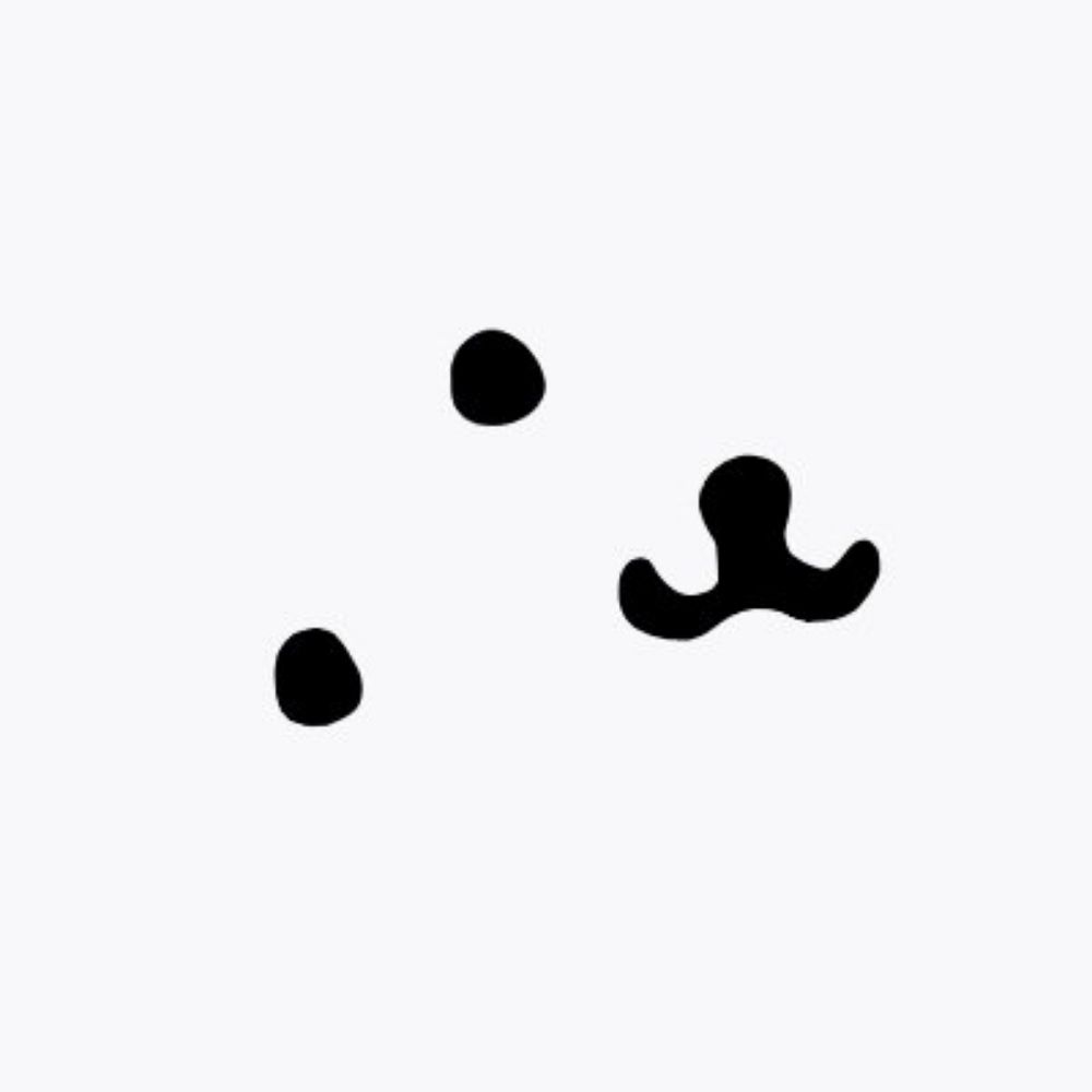 지 현