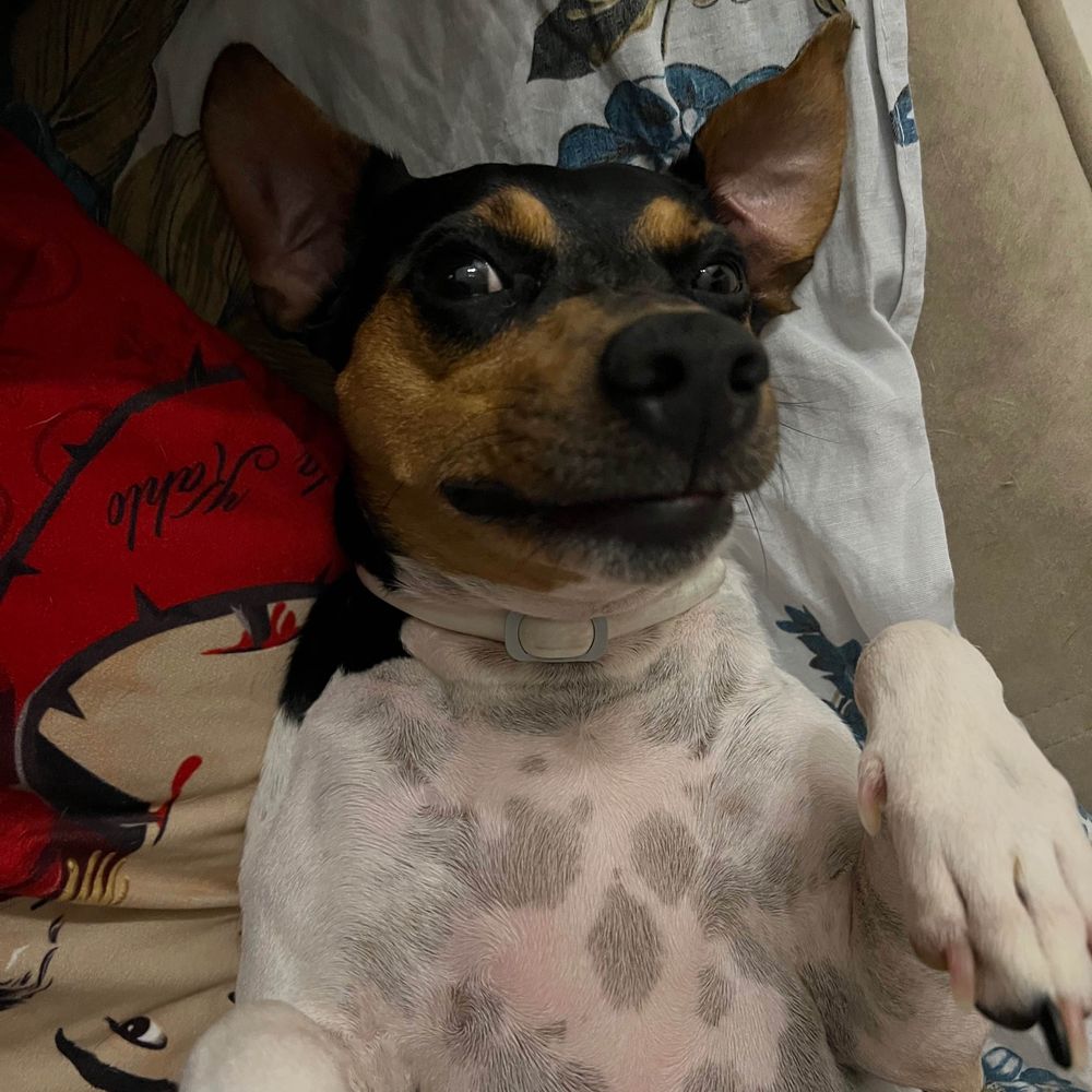 taís