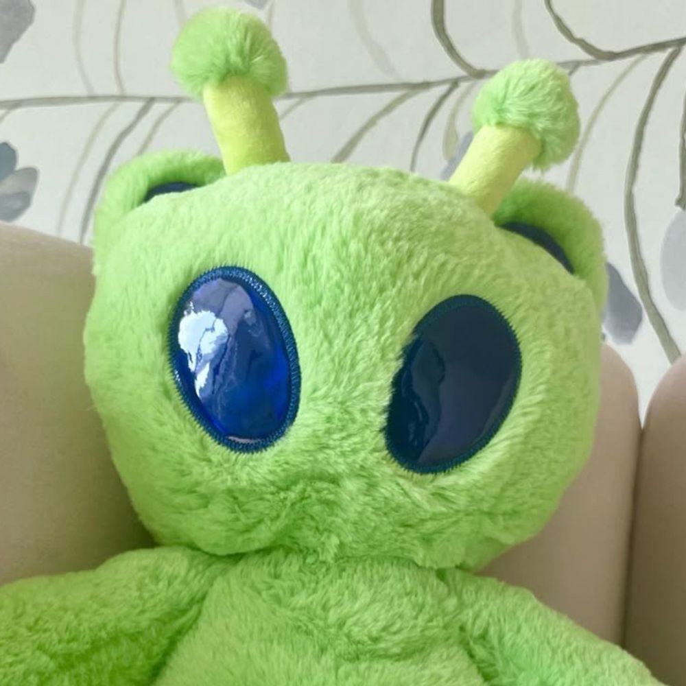 ˚₊‧꒰ა 𝔅𝔲𝔤 ໒꒱ ‧₊˚