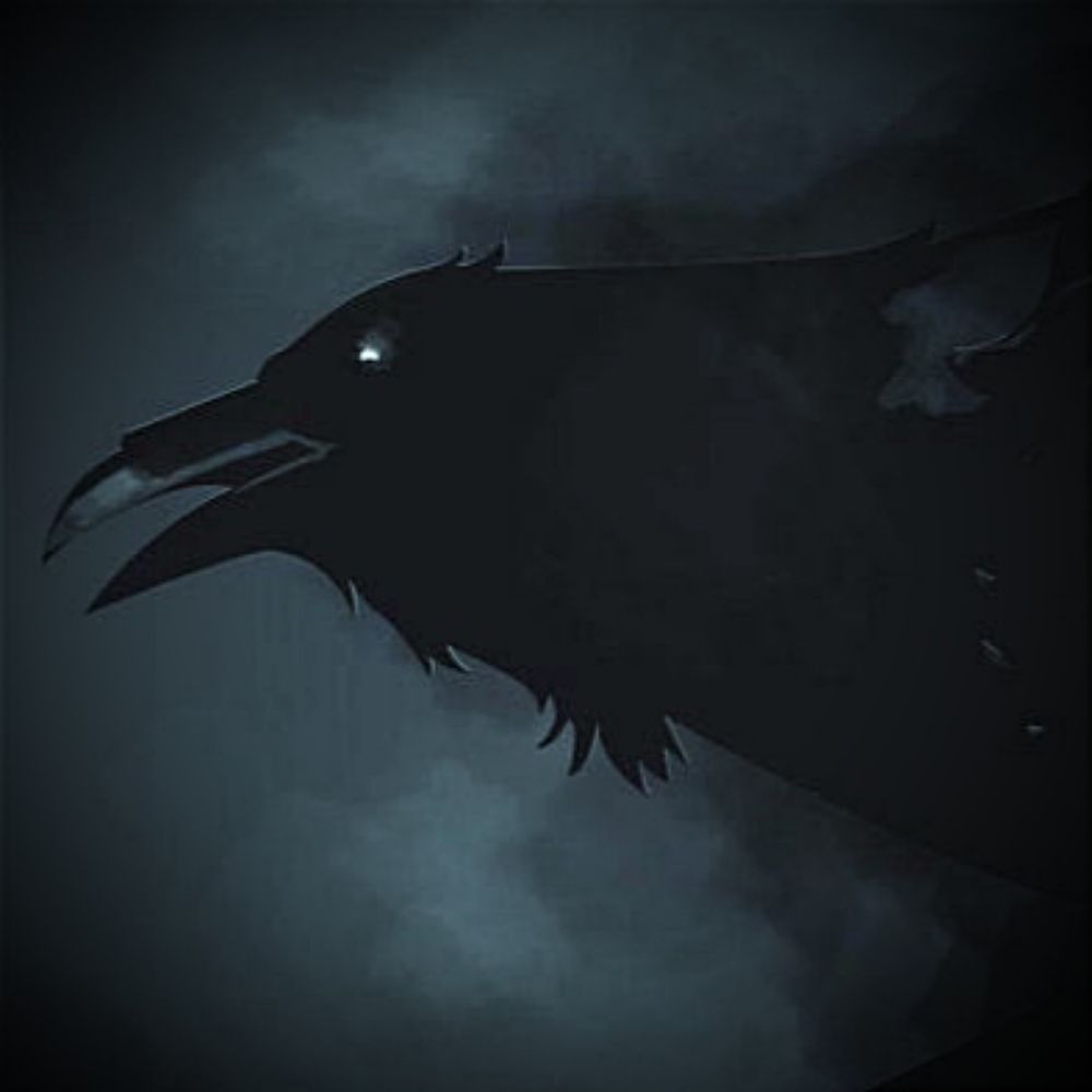 black bird