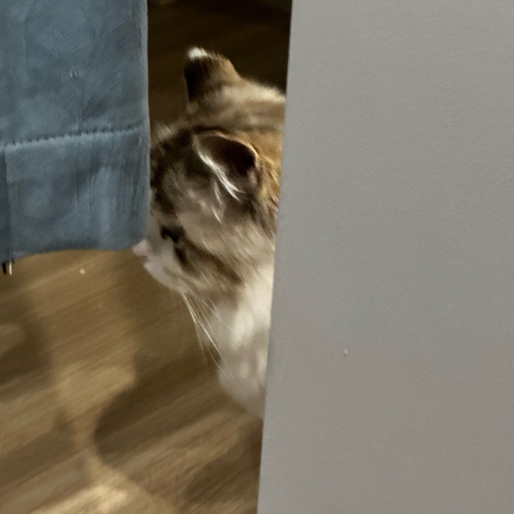 mueen-1116.bsky.social