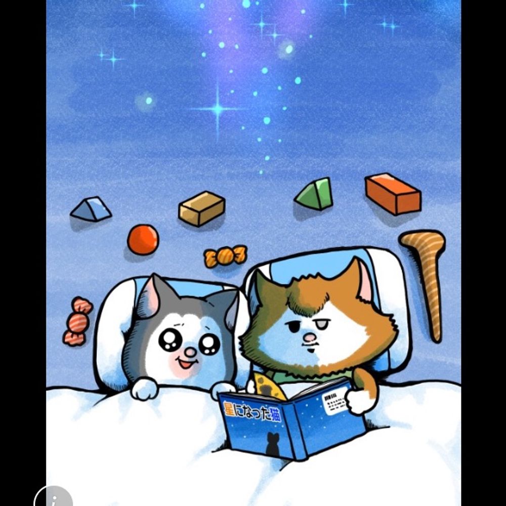 白玉だんご🐻‍❄️