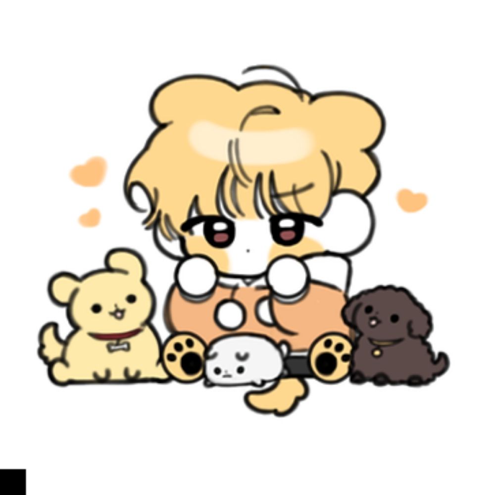 미르