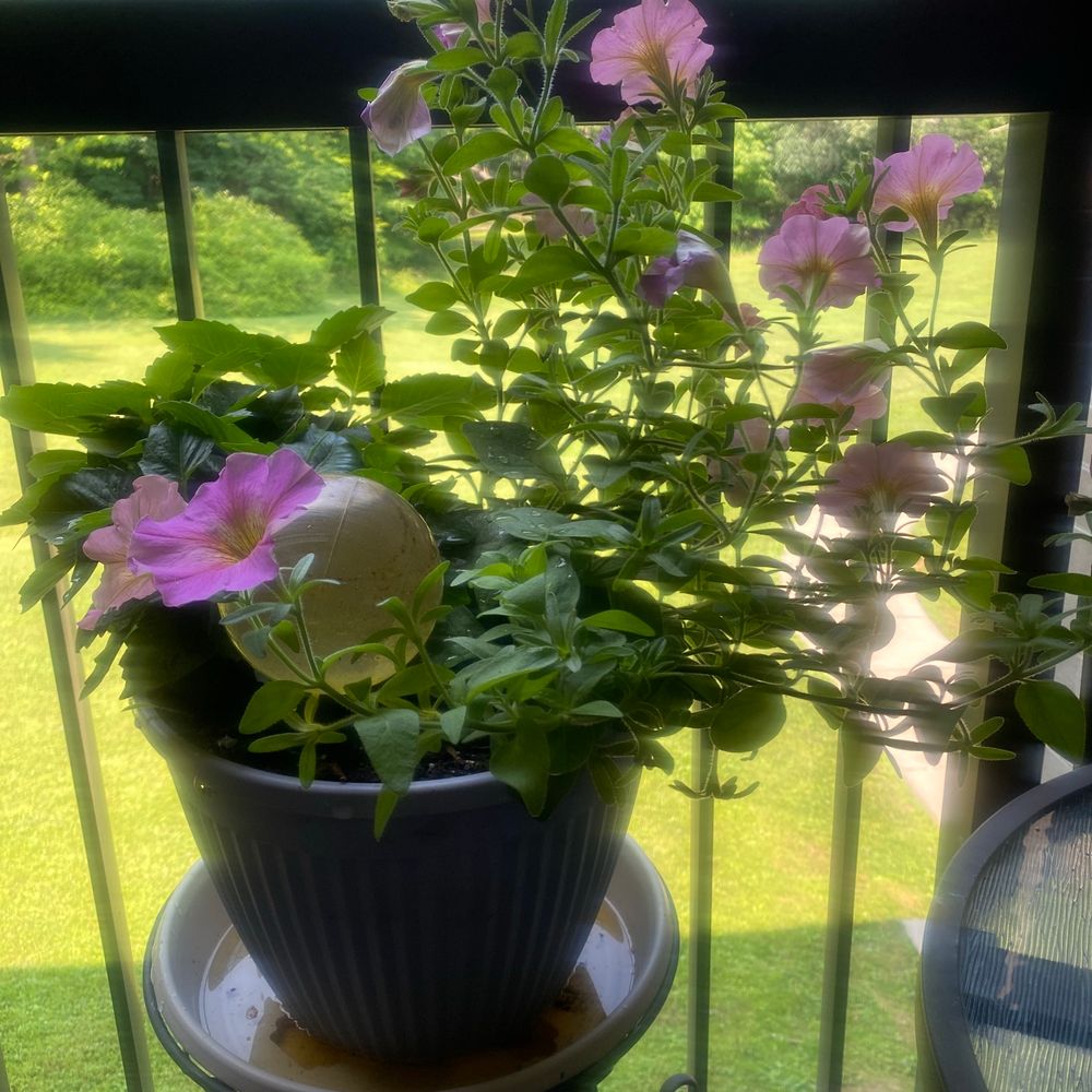 lynda73.bsky.social profile picture