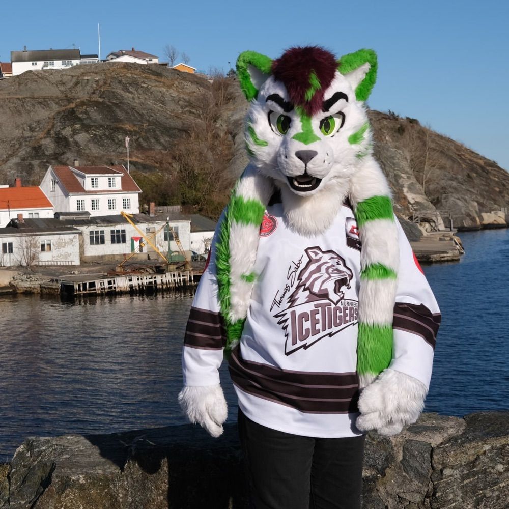 IceTiger (Icy) 🏳️‍🌈 → Awoostria → Oslo → ?