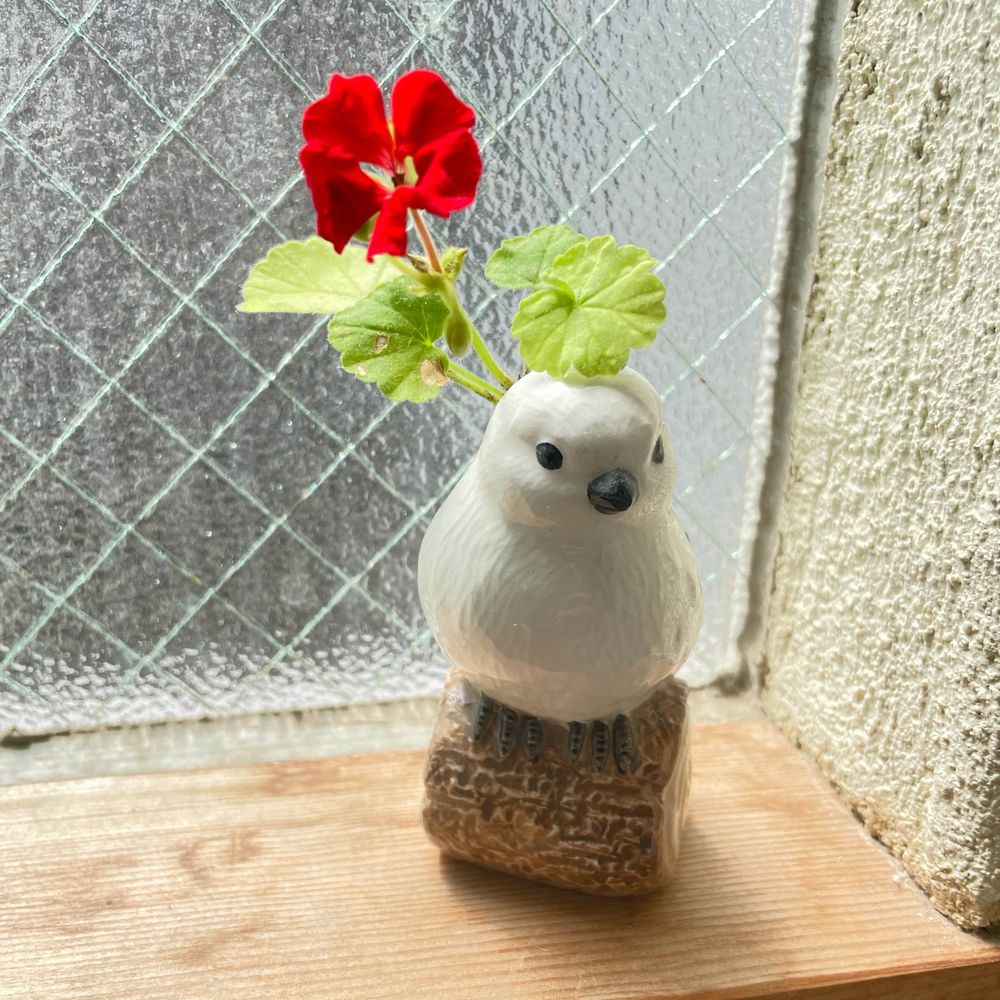 しんじ