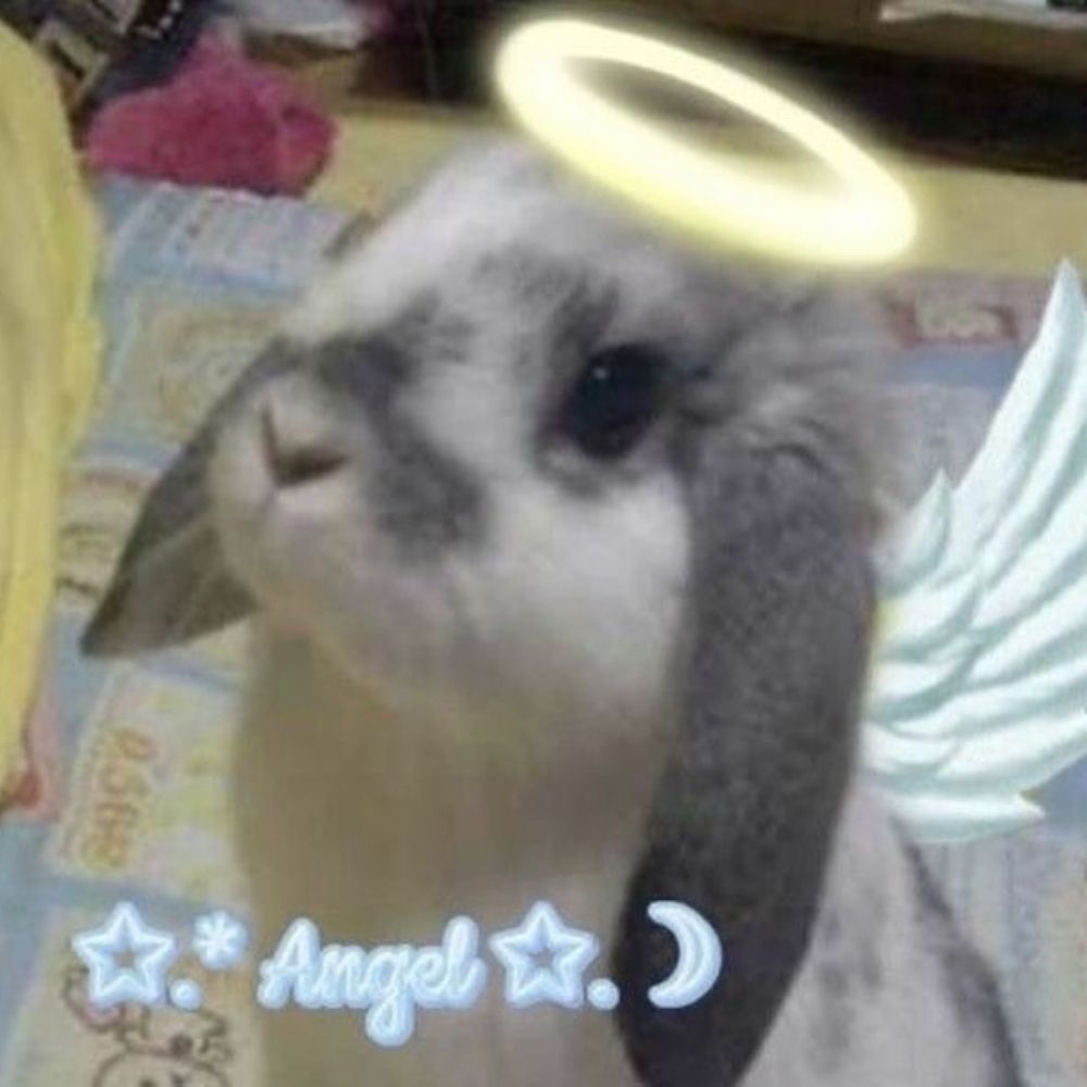 Ágape_7DBunny