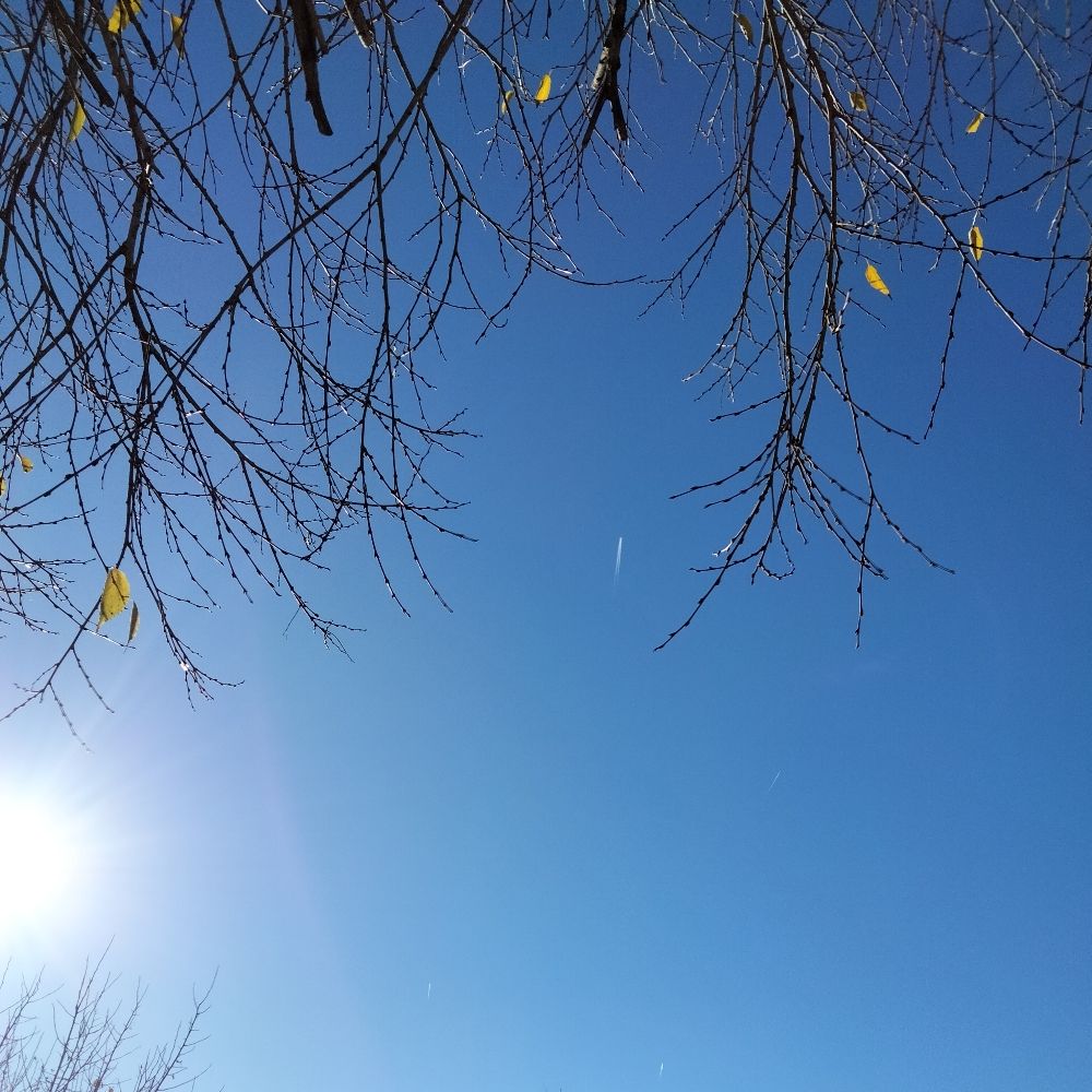 Wind