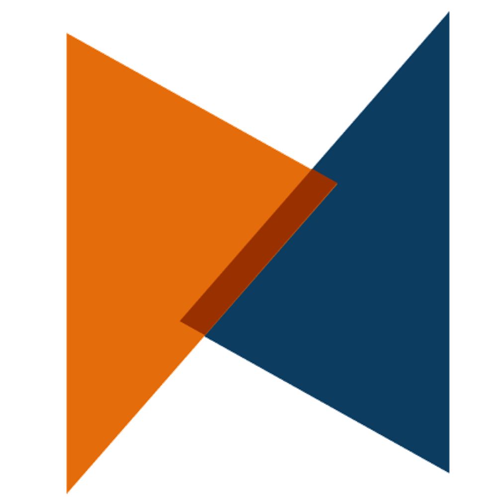 Brandeis Consulting