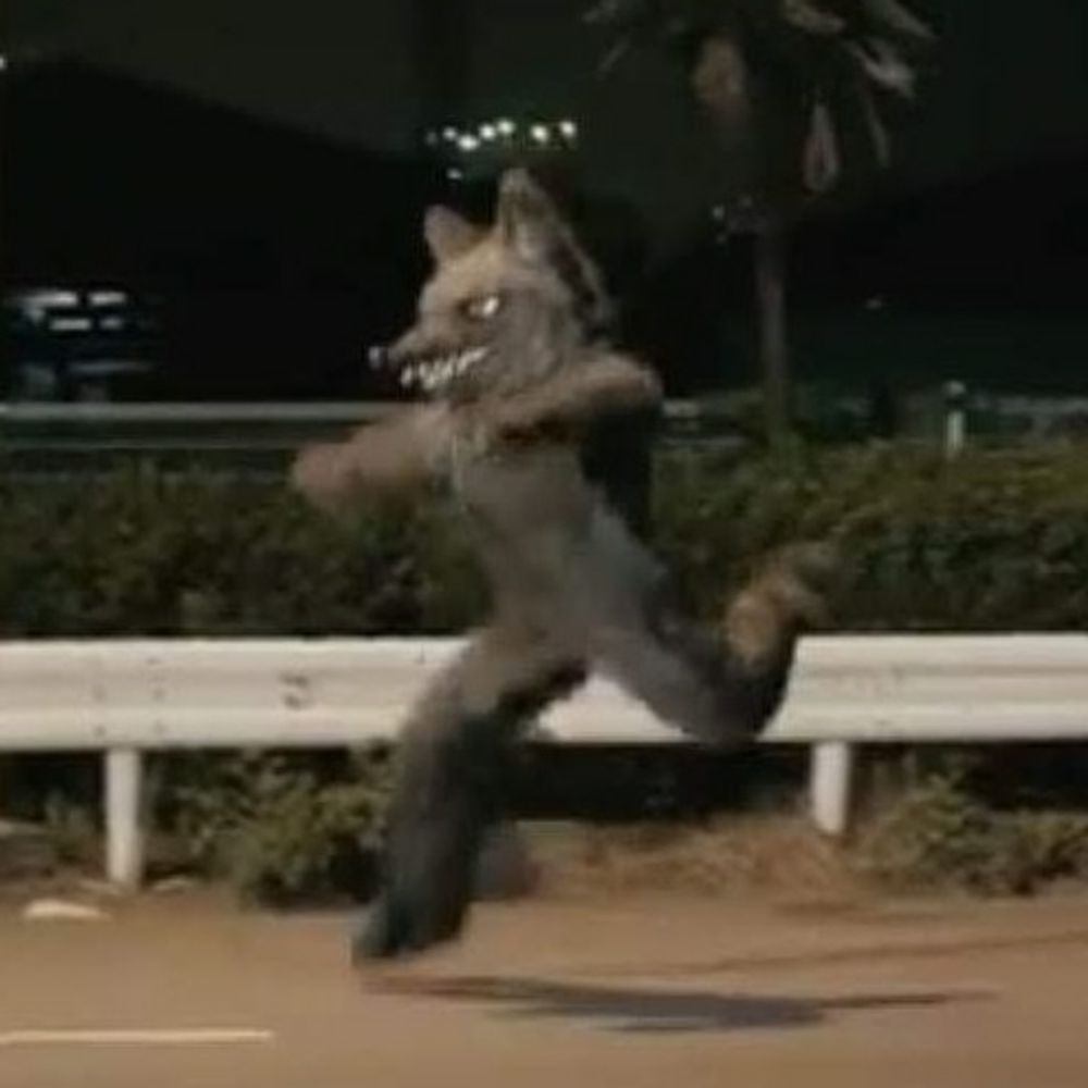 제갈새우