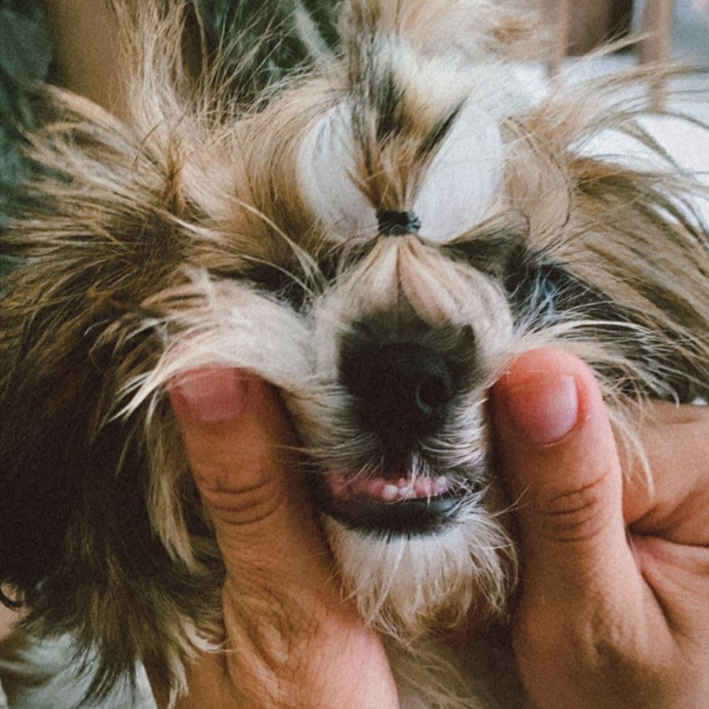 ms.sadie_07