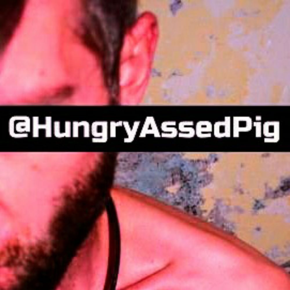 HUNGRYASSEDPIG