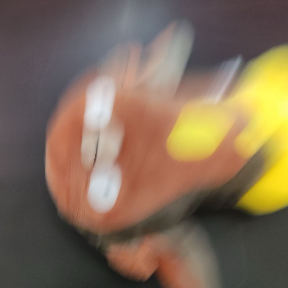 いず