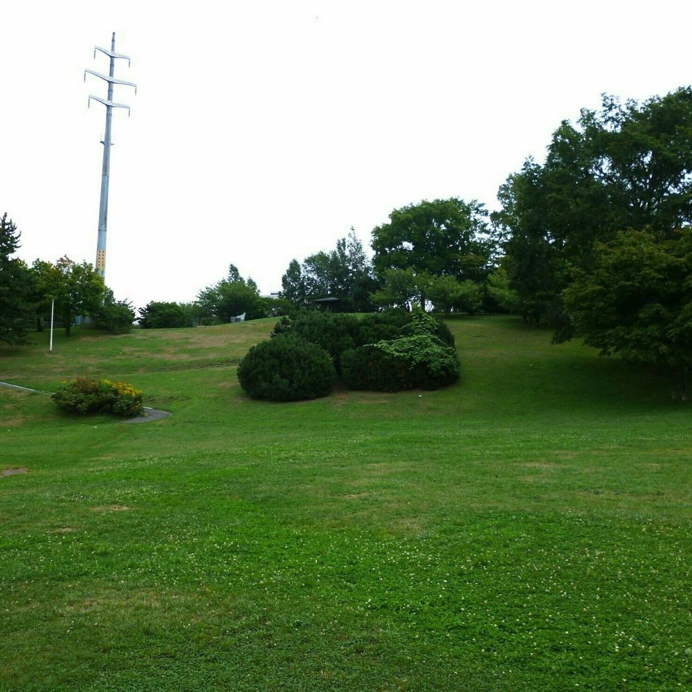 T.M.Fukunaga