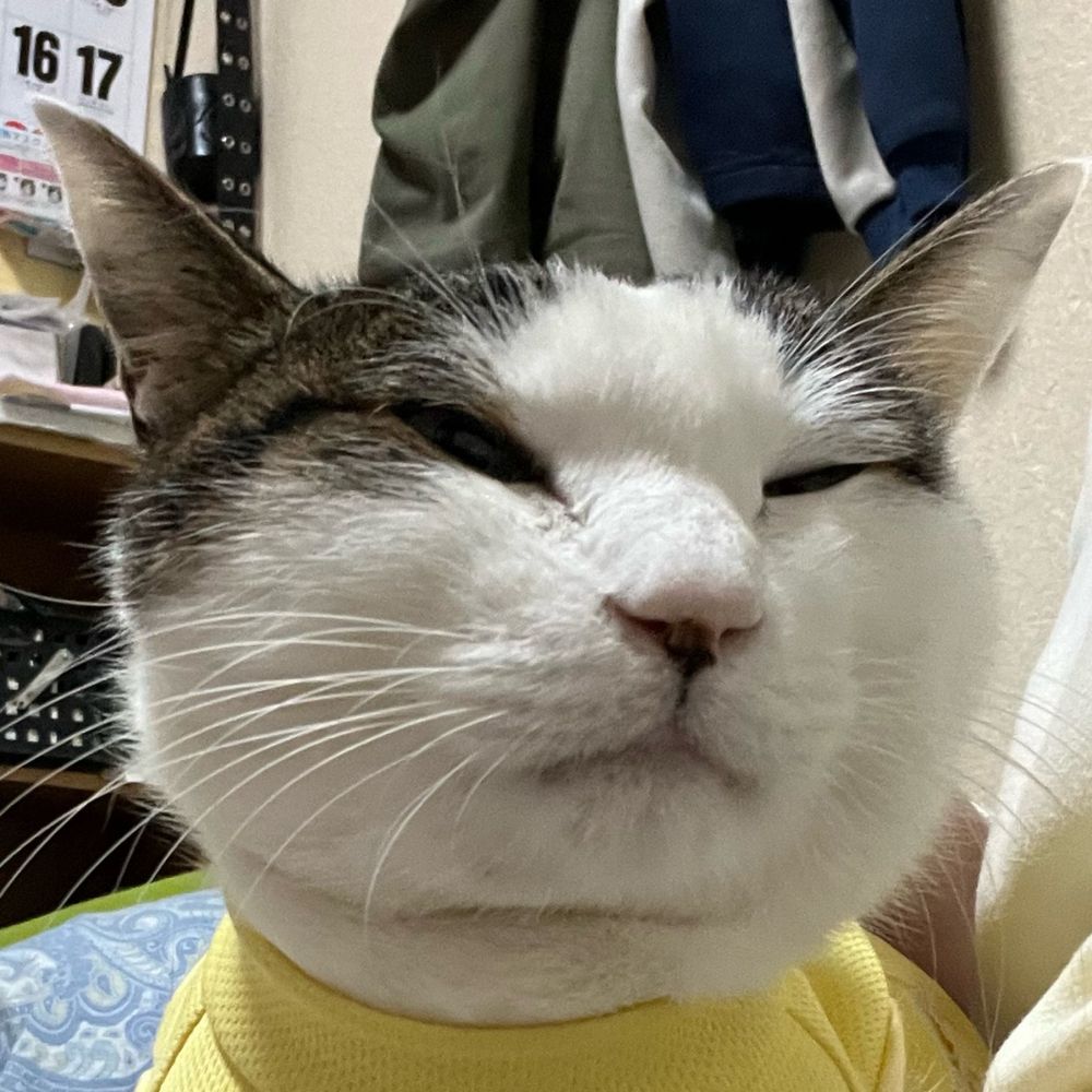 とうや