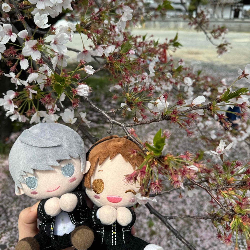ウタイ。