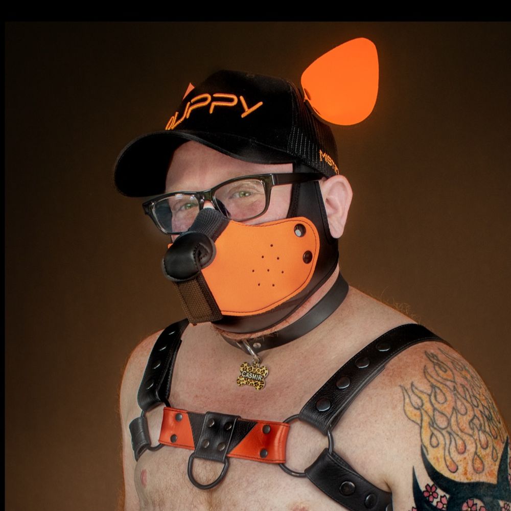 Pup Casmir