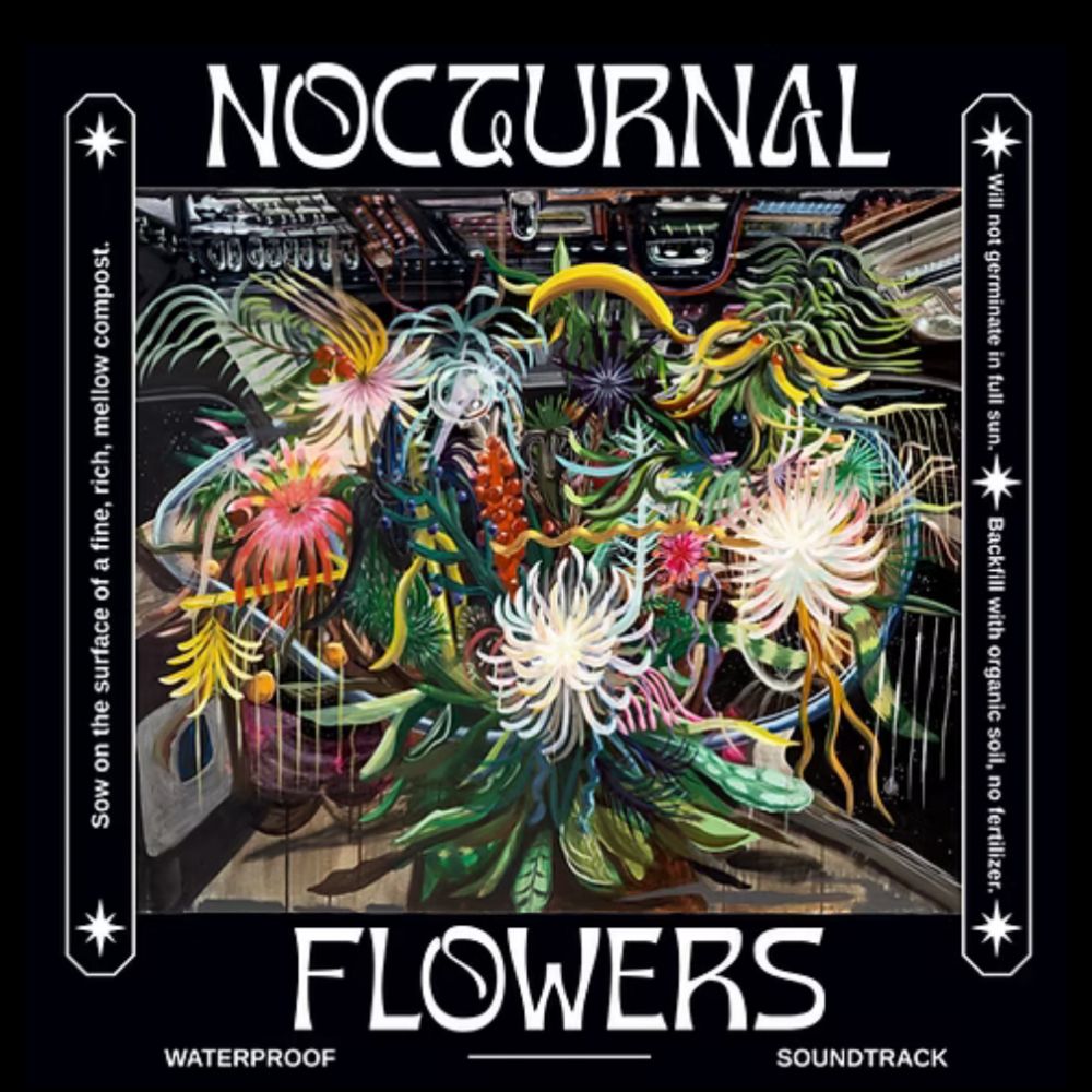 Nocturnal Flowers
