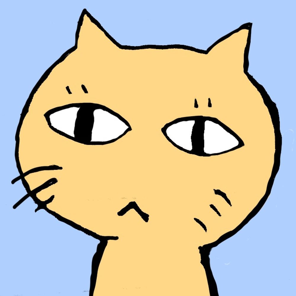 鼻野猫太