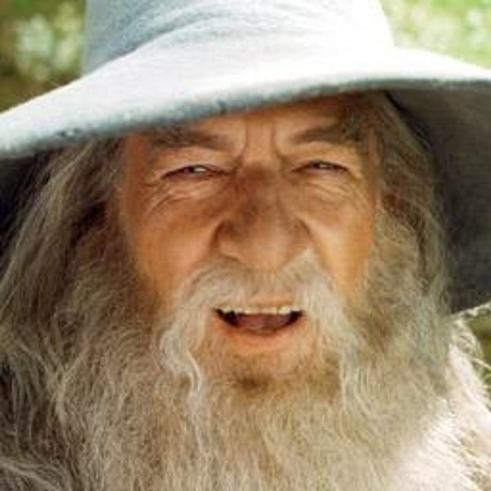 Wizard Steve