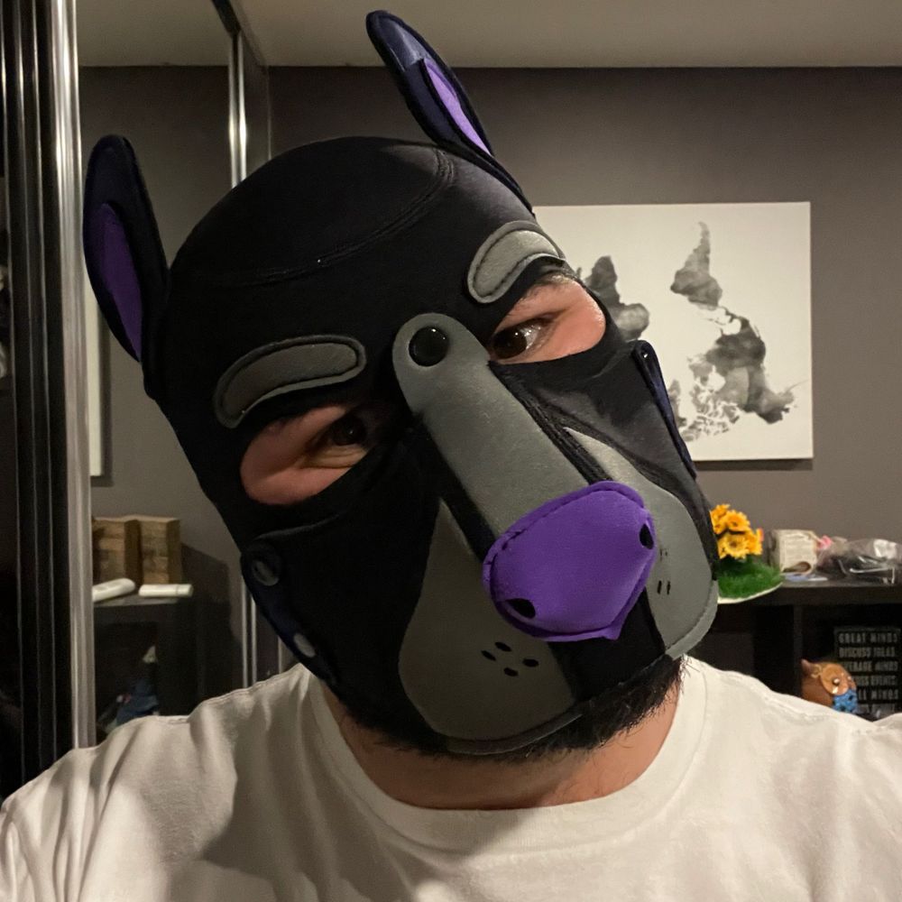 Pup Grey