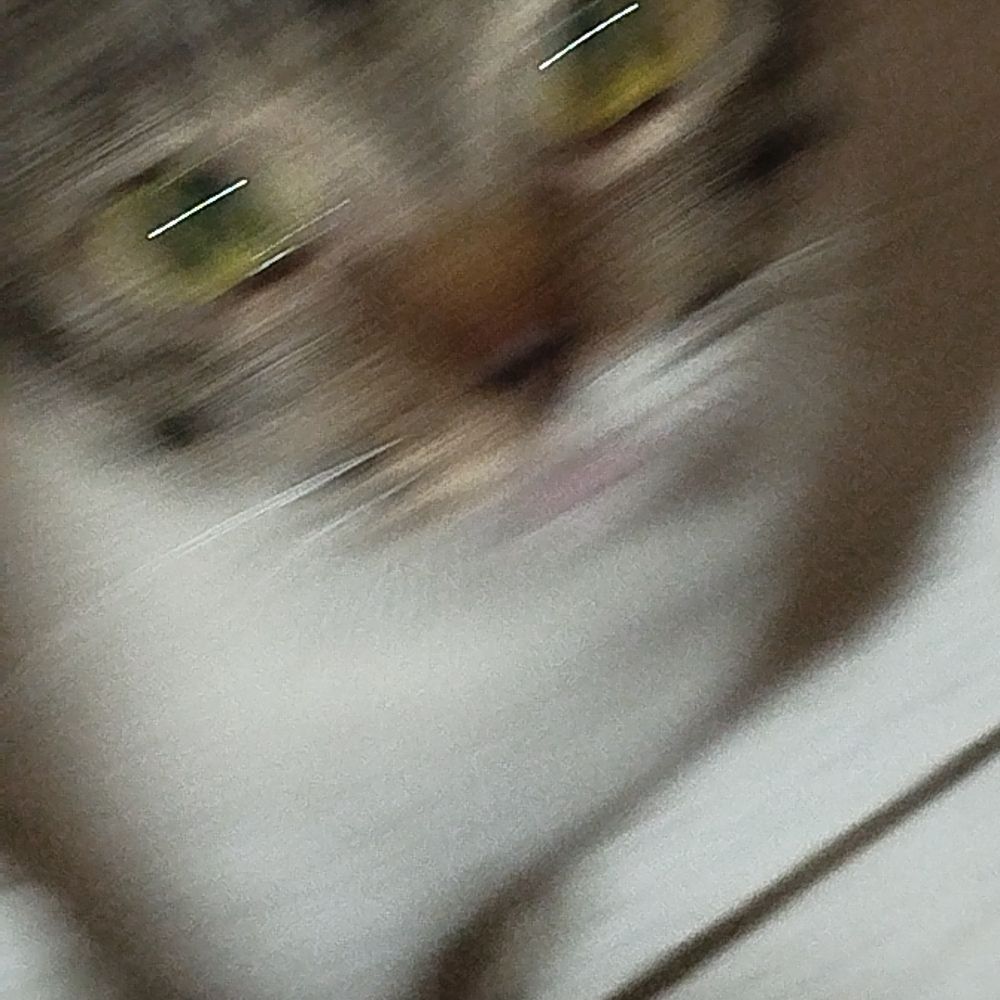 frouzikk