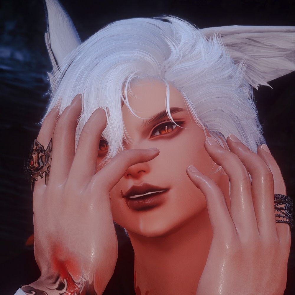 Catboi Era Xares